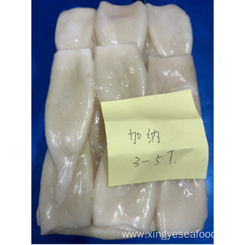 Frozen Squid Tube Illex Coindetii U3-U5